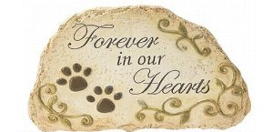 Forever in Our Hearts