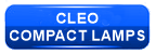 CLEO