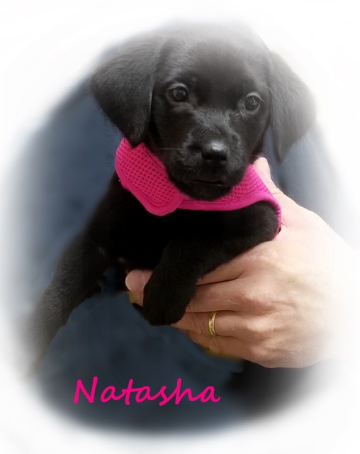 Natasha