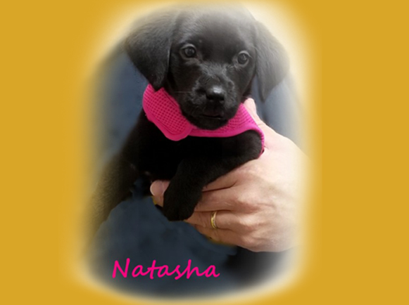 Natasha