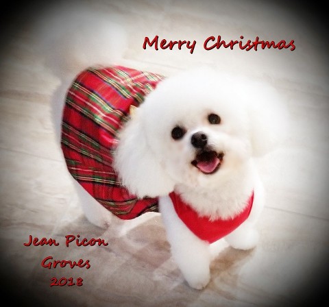 Picon Chrismtas